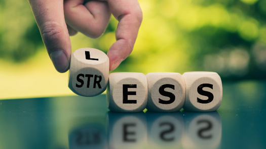 Photo: Fokussiert/Adobe Stock