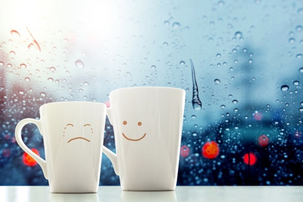 Photo: Adobe Stock / blacksalmon