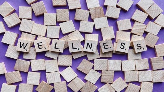 Ⓒ Wokandapix from Pixabay