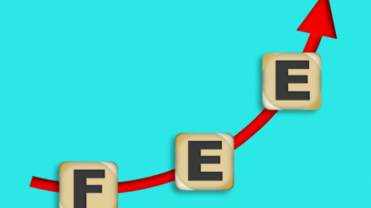 Photo: tang90246/Adobe Stock