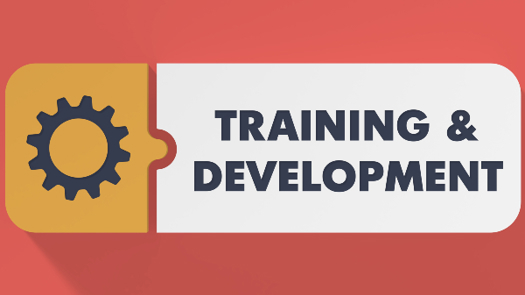 Image: tashatuvango/Adobe Stock